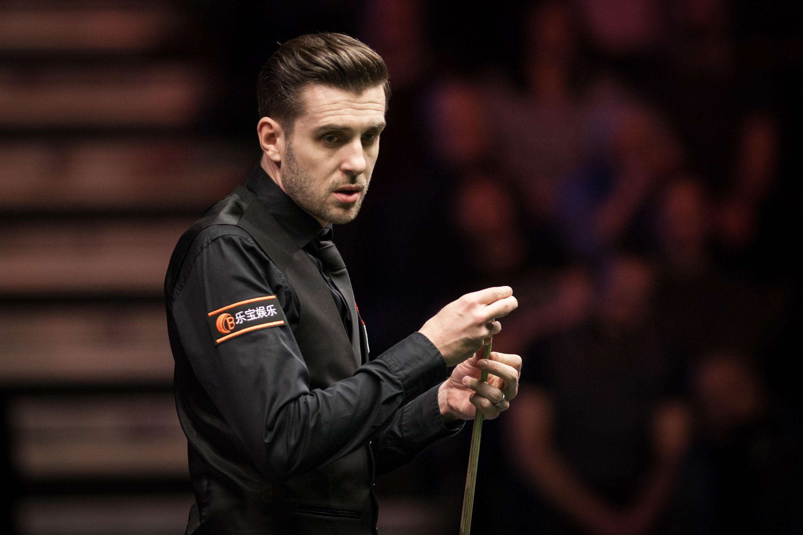 他们不追求 他们不追求